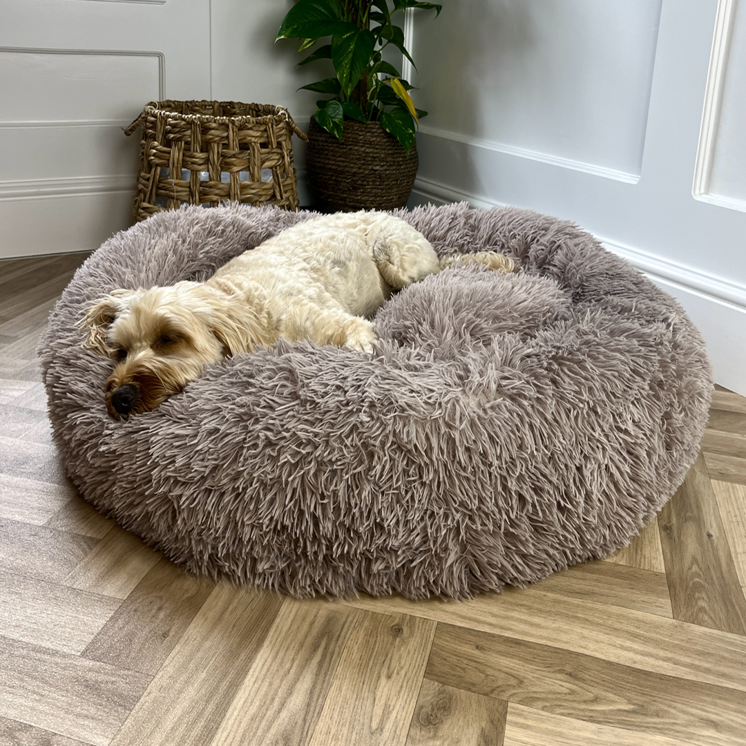 Mocha Calming Donut Bed