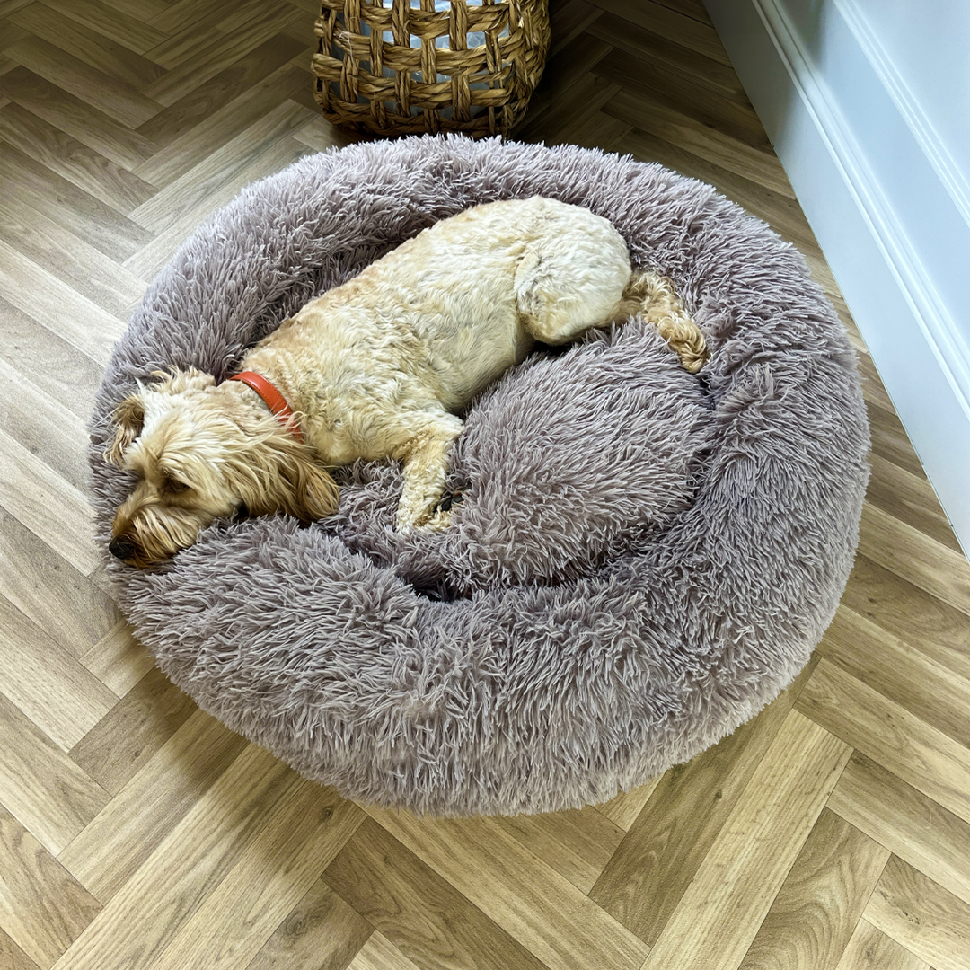 Mocha Calming Donut Bed