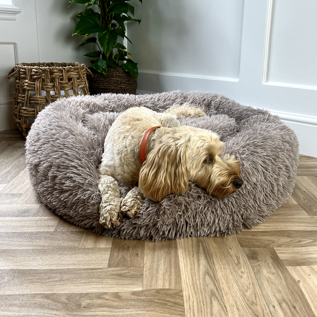 Mocha Calming Donut Bed