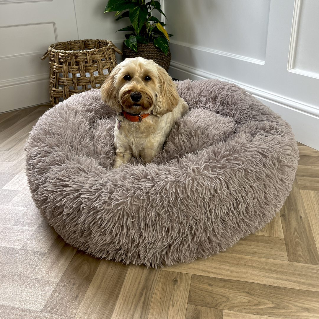 Mocha Calming Donut Bed