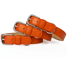 Load image into Gallery viewer, orange dog collar leather vegan
