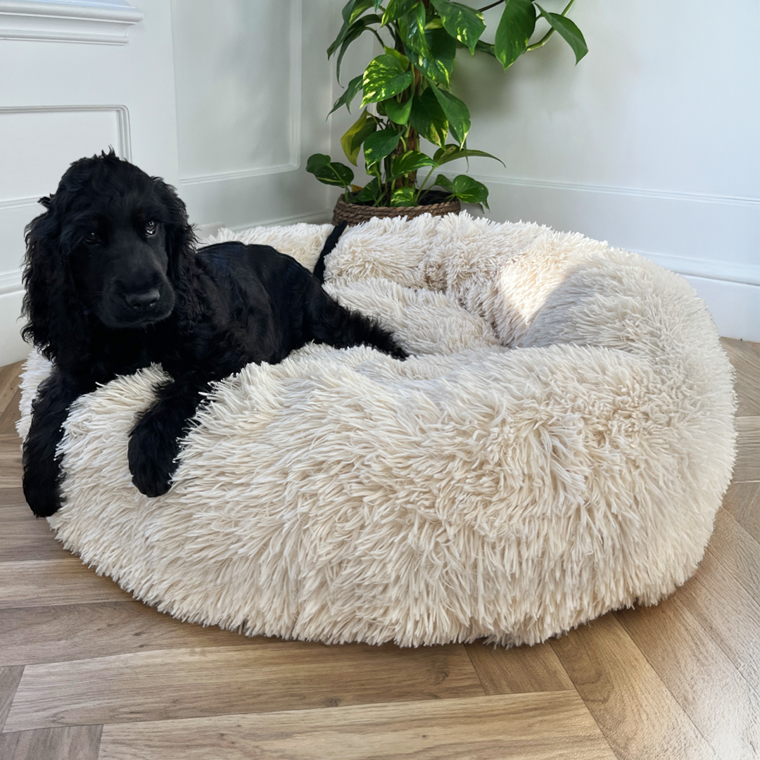 Calming Donut Bed - Champagne