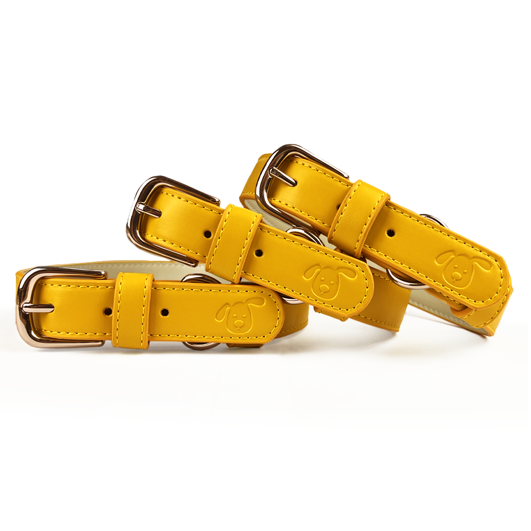 Vegan Leather Dog Collar - Amber