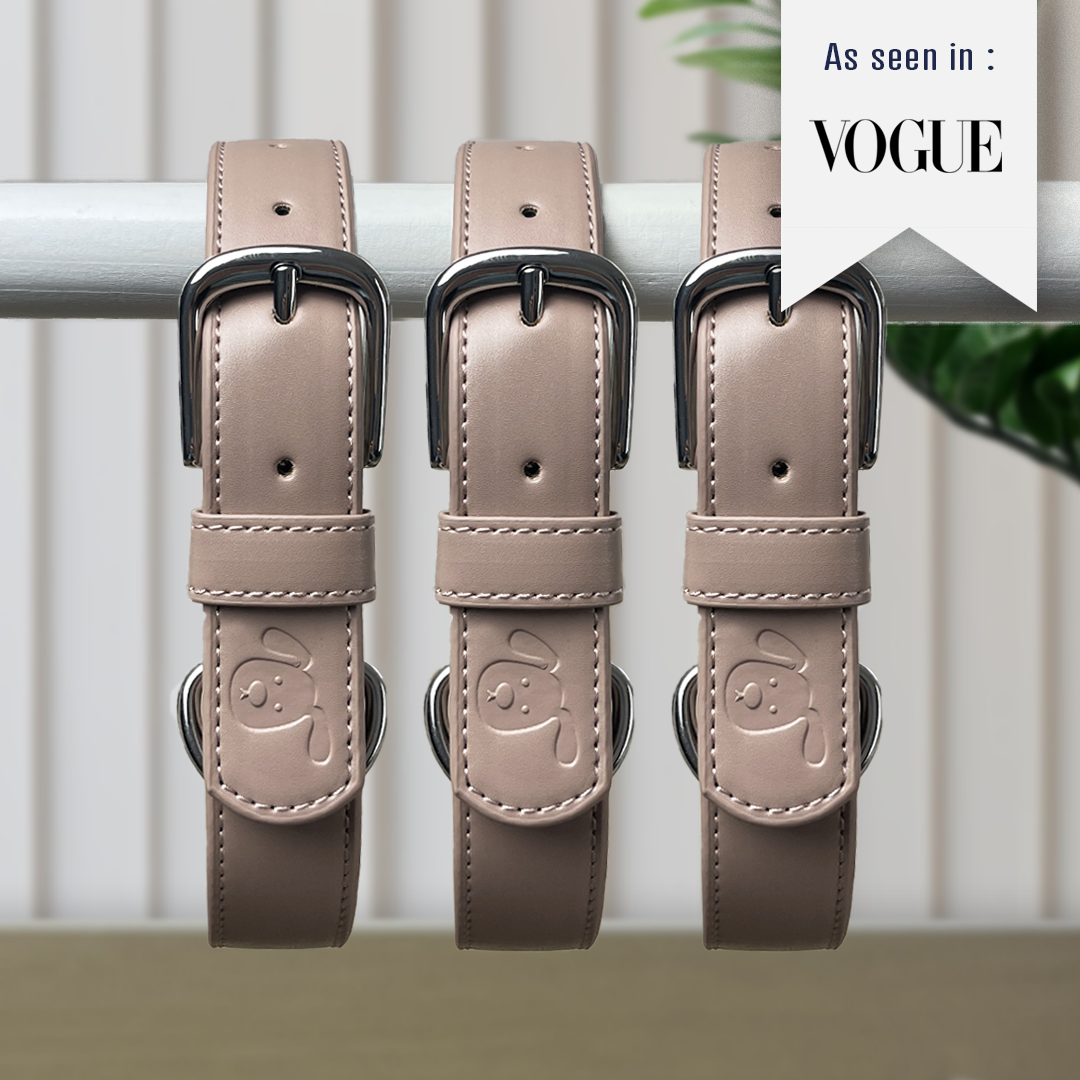 Vegan Leather Collar & Lead Set - (Prefers Matcha) Mocha