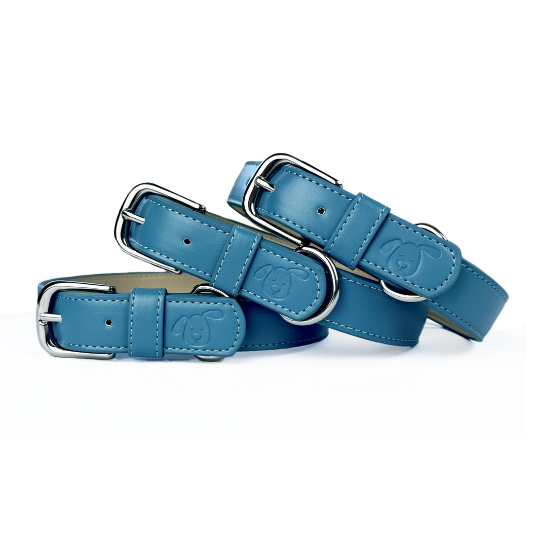 blue dog collar