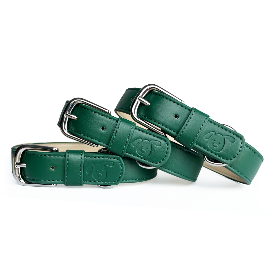 dark green dog collar