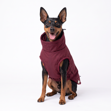 Load image into Gallery viewer, Wet Walkies Dog Coat - Maroon Monsoon
