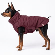 Load image into Gallery viewer, Wet Walkies Dog Coat - Maroon Monsoon
