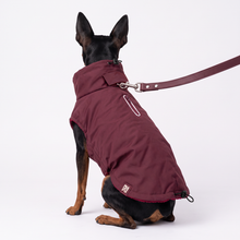 Load image into Gallery viewer, Wet Walkies Dog Coat - Maroon Monsoon

