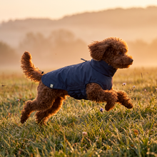 Load image into Gallery viewer, Wet Walkies Raincoat - Navy Seal
