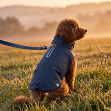 Load image into Gallery viewer, Wet Walkies Raincoat - Navy Seal
