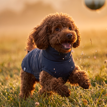 Load image into Gallery viewer, Wet Walkies Raincoat - Navy Seal

