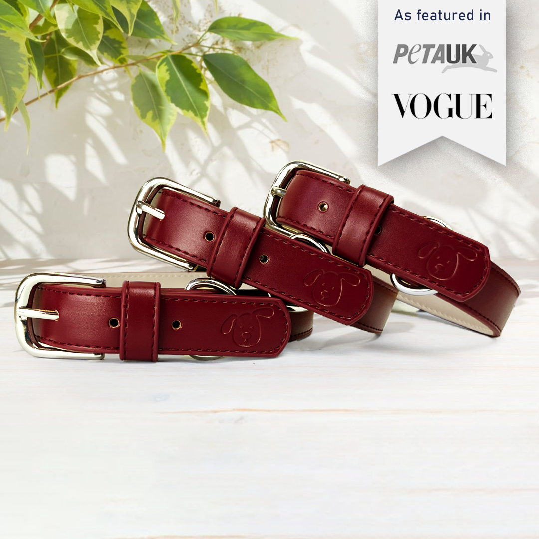 Vegan Leather Dog Collar - Wine Red