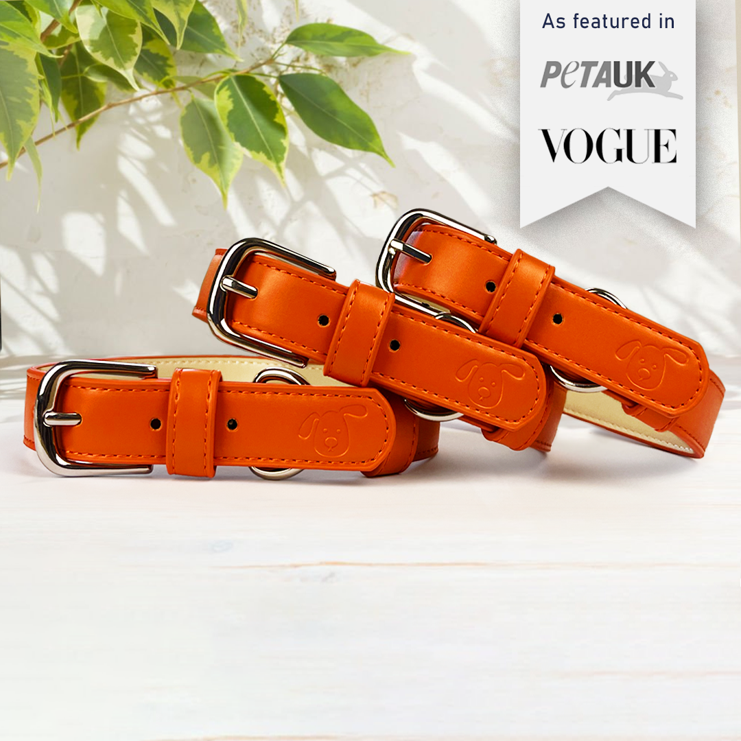 Vegan Leather Dog Collar - Coral