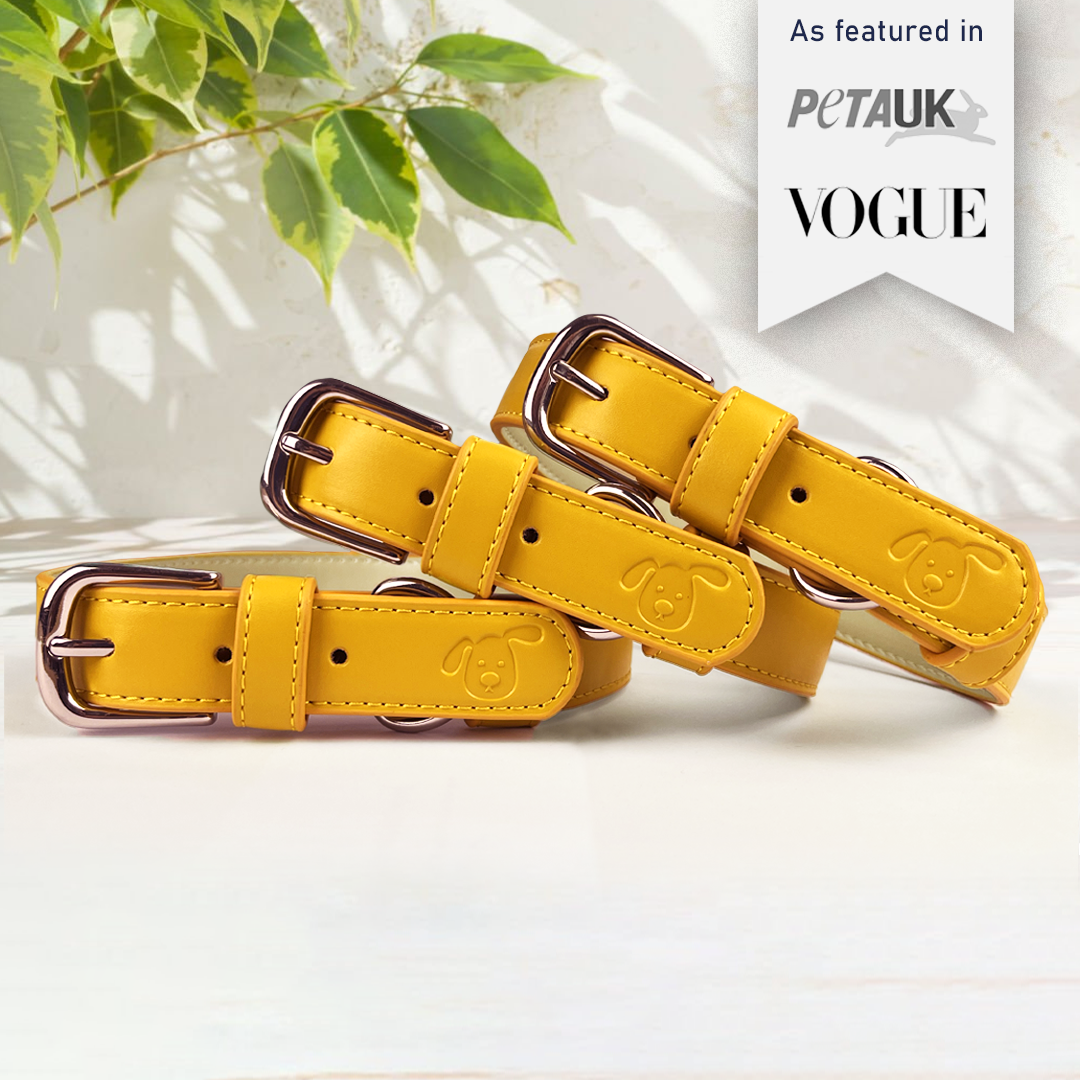 Vegan Leather Dog Collar - Amber