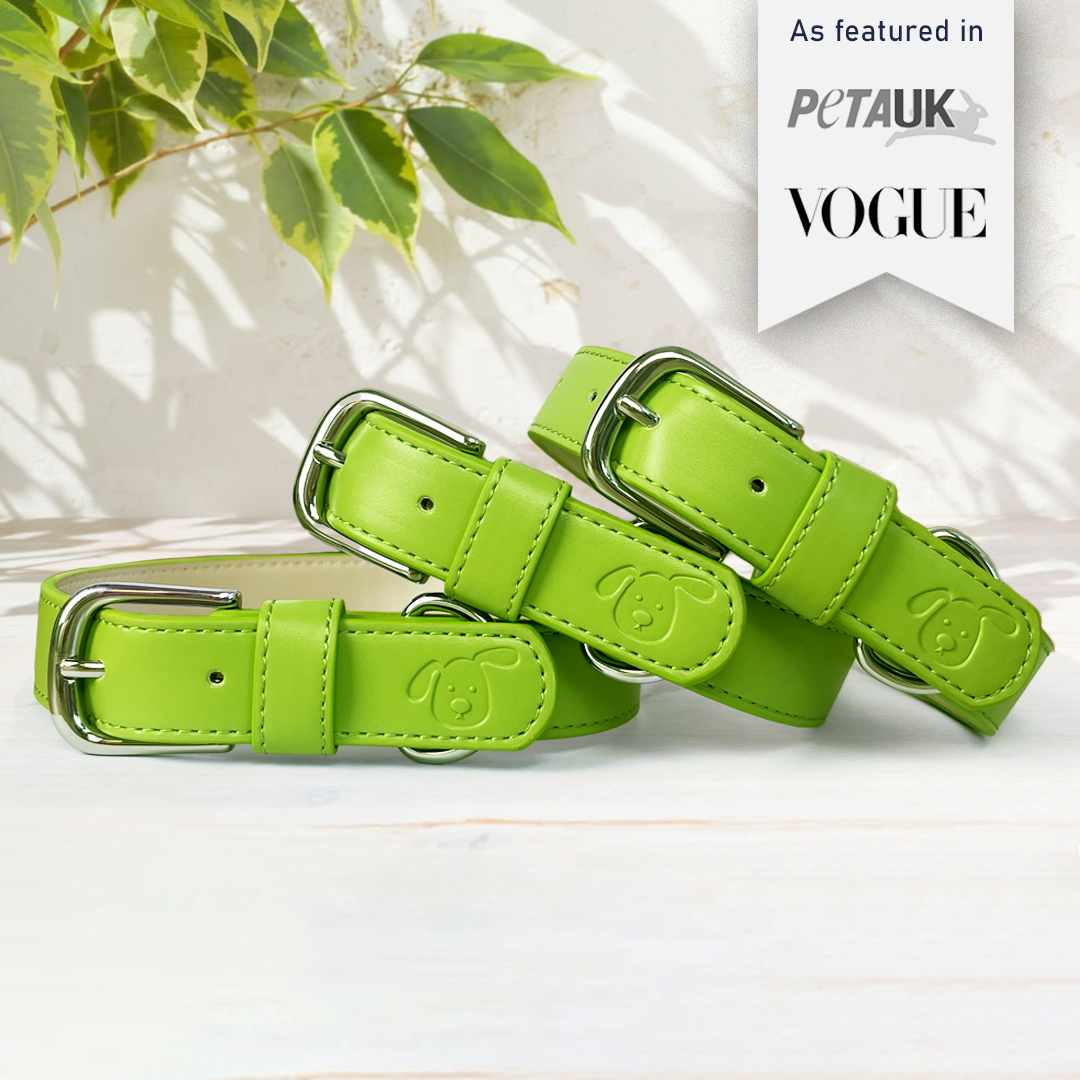 Vegan Leather Dog Collar - Spring Green