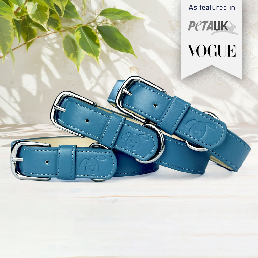 Vegan Leather Dog Collar - Carolina Blue