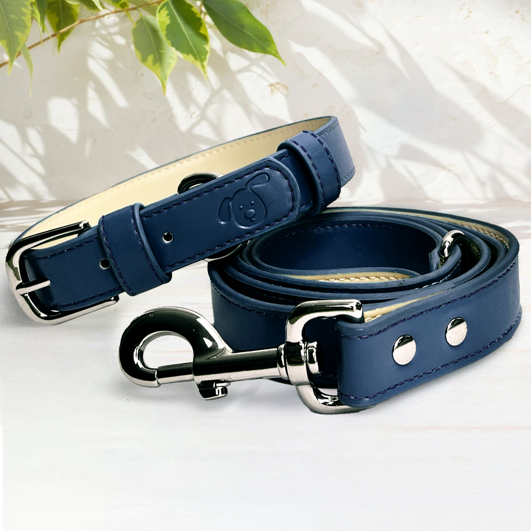 Vegan Leather Collar & Lead Set - Nosey-Nellie Navy