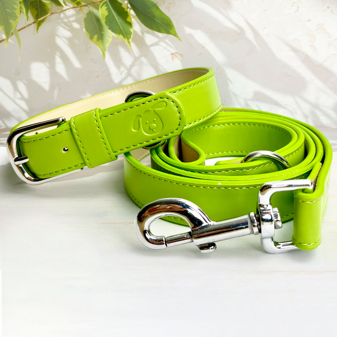 Vegan Leather Dog Collar - Spring Green