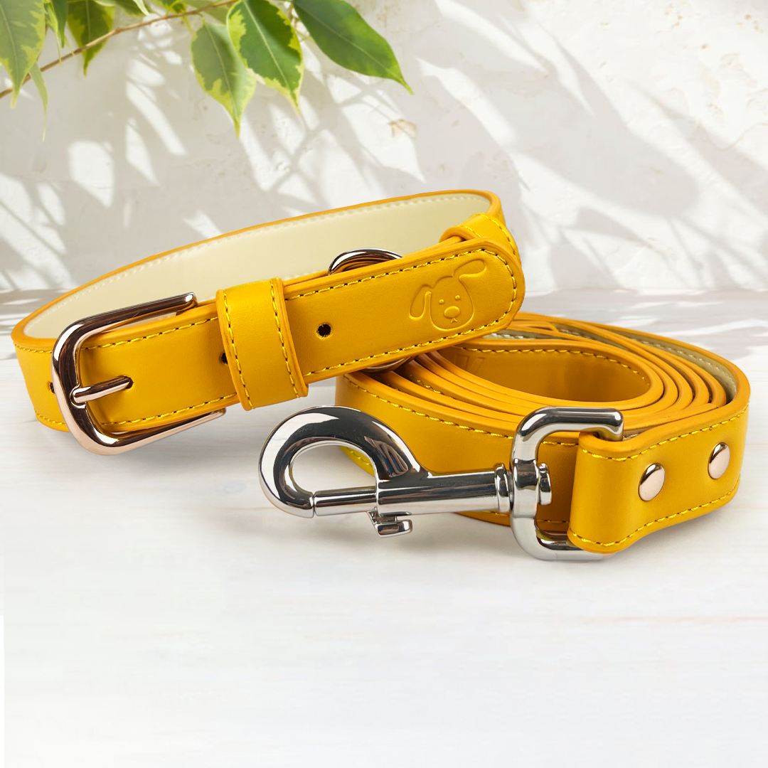 Vegan Leather Collar & Lead Set - Angsty Amber