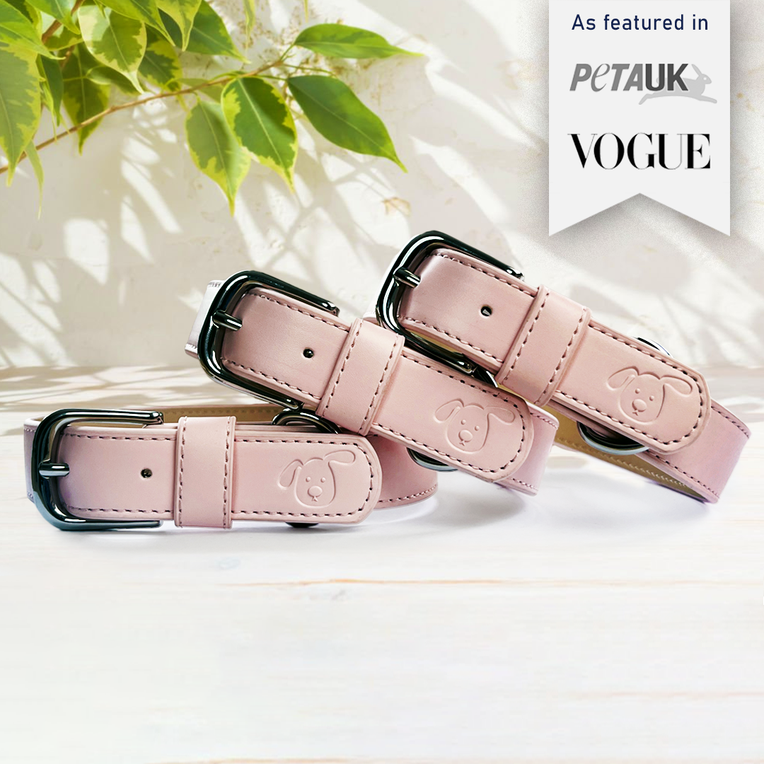 Vegan Leather Dog Collar - Baby Pink