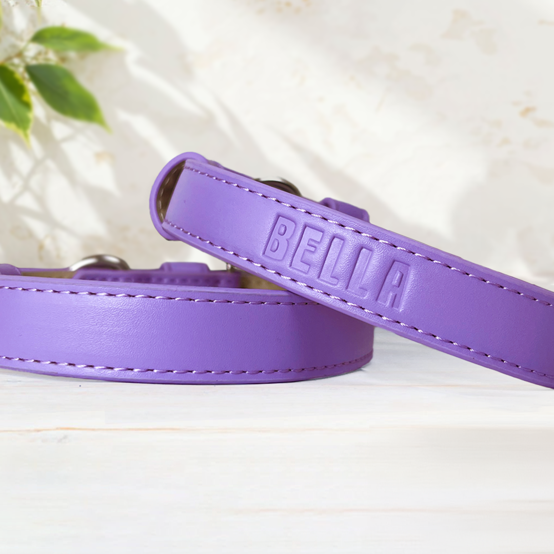 Vegan Leather Collar & Lead Set - Lopsided Lilac