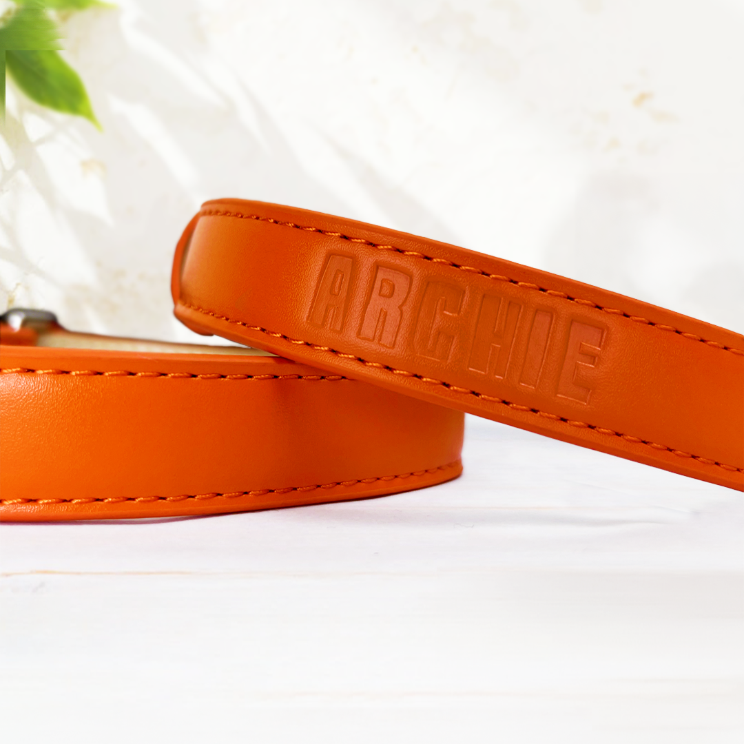 Vegan Leather Collar & Lead Set - Over-Caffeinated Coral