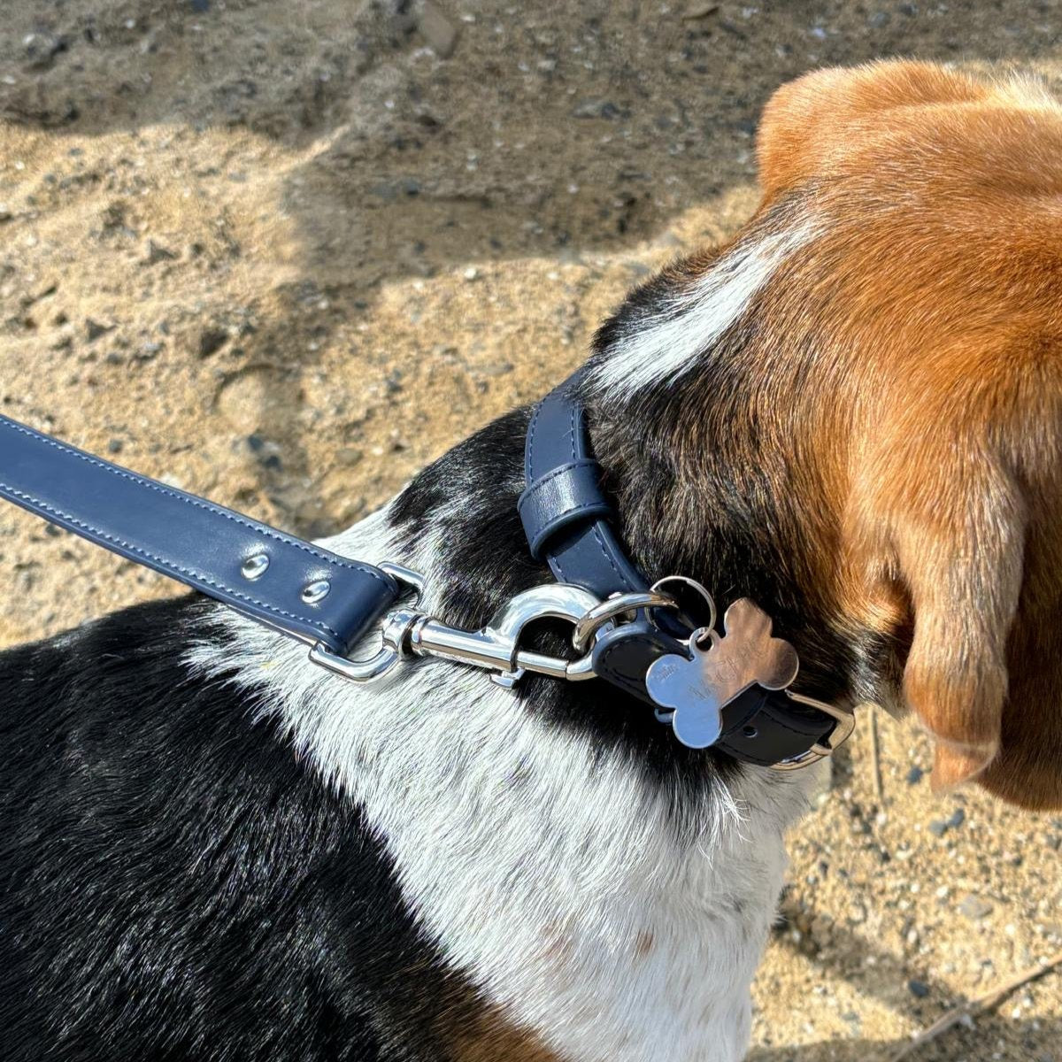 Vegan Leather Dog Collar - Midnight Blue