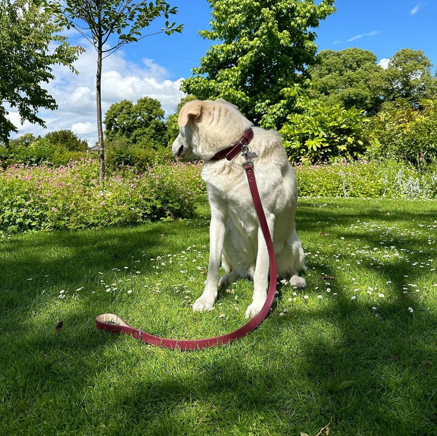Vegan Leather Collar & Lead Set - Mum's Red Wine