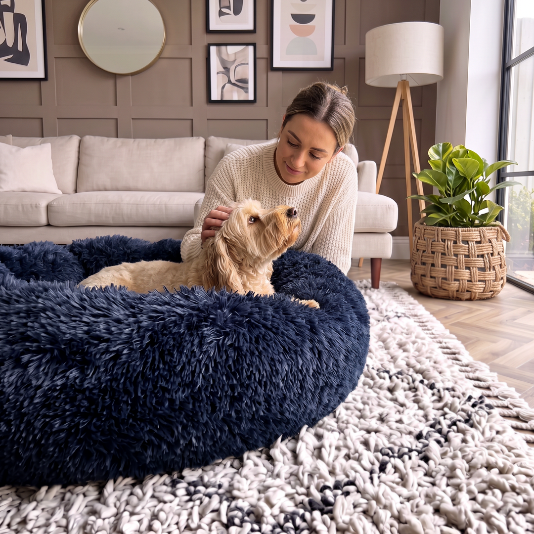 Calming Donut Bed - Frenchie Blue