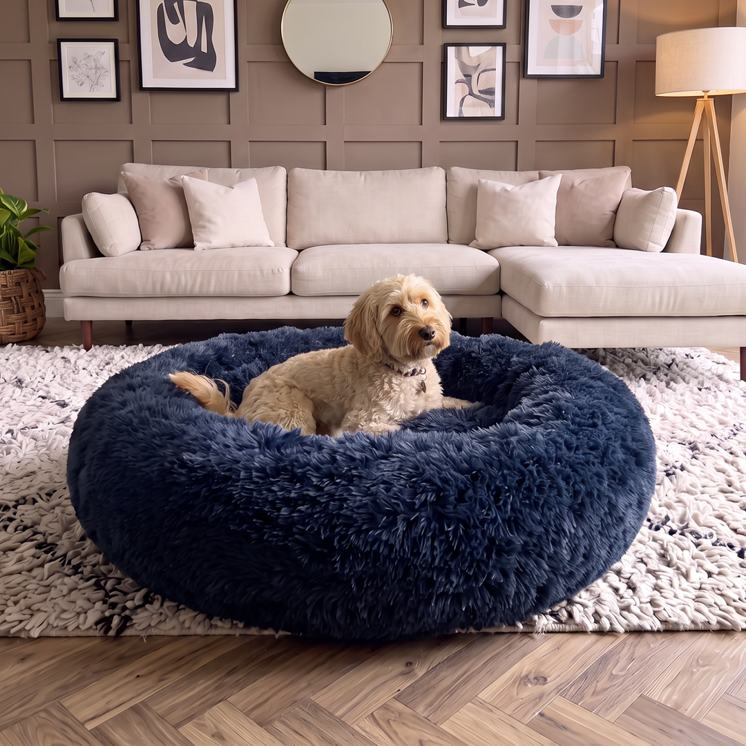 Calming Donut Bed - Frenchie Blue