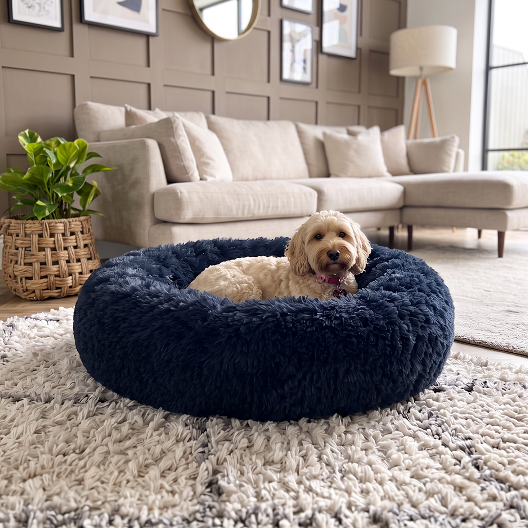 Calming Donut Bed - Frenchie Blue
