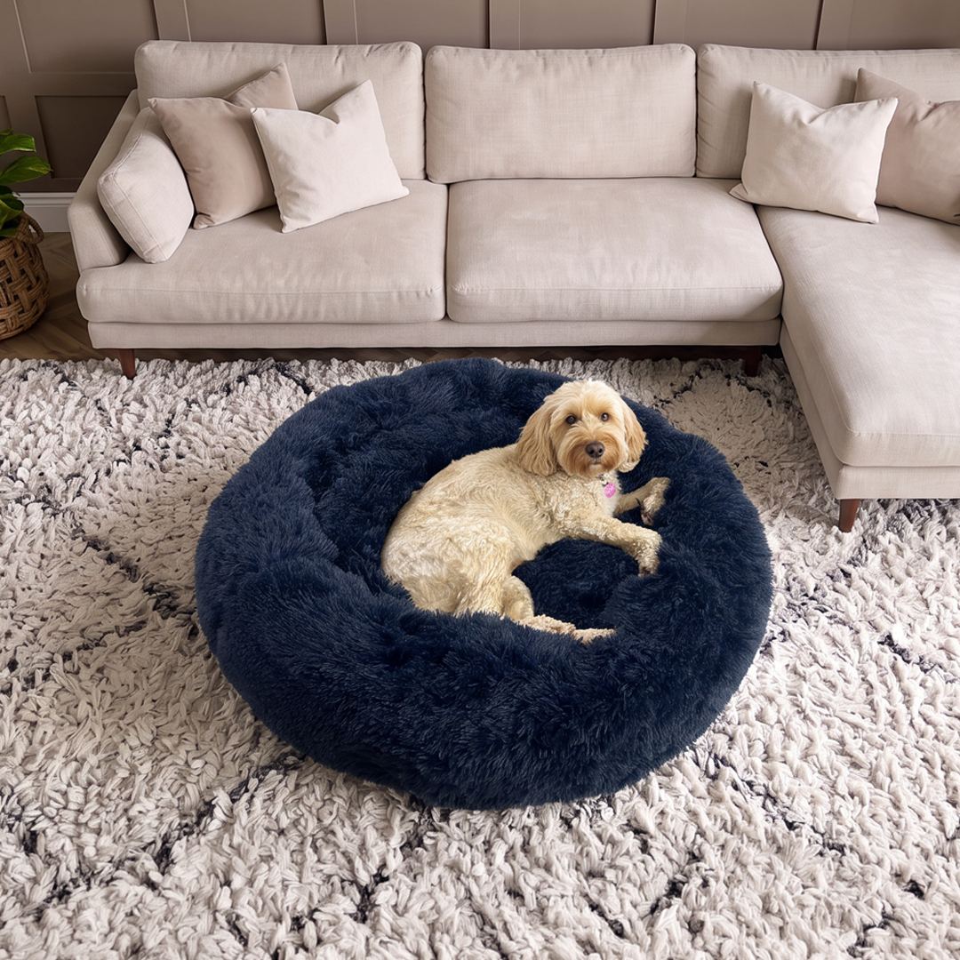 Calming Donut Bed - Frenchie Blue
