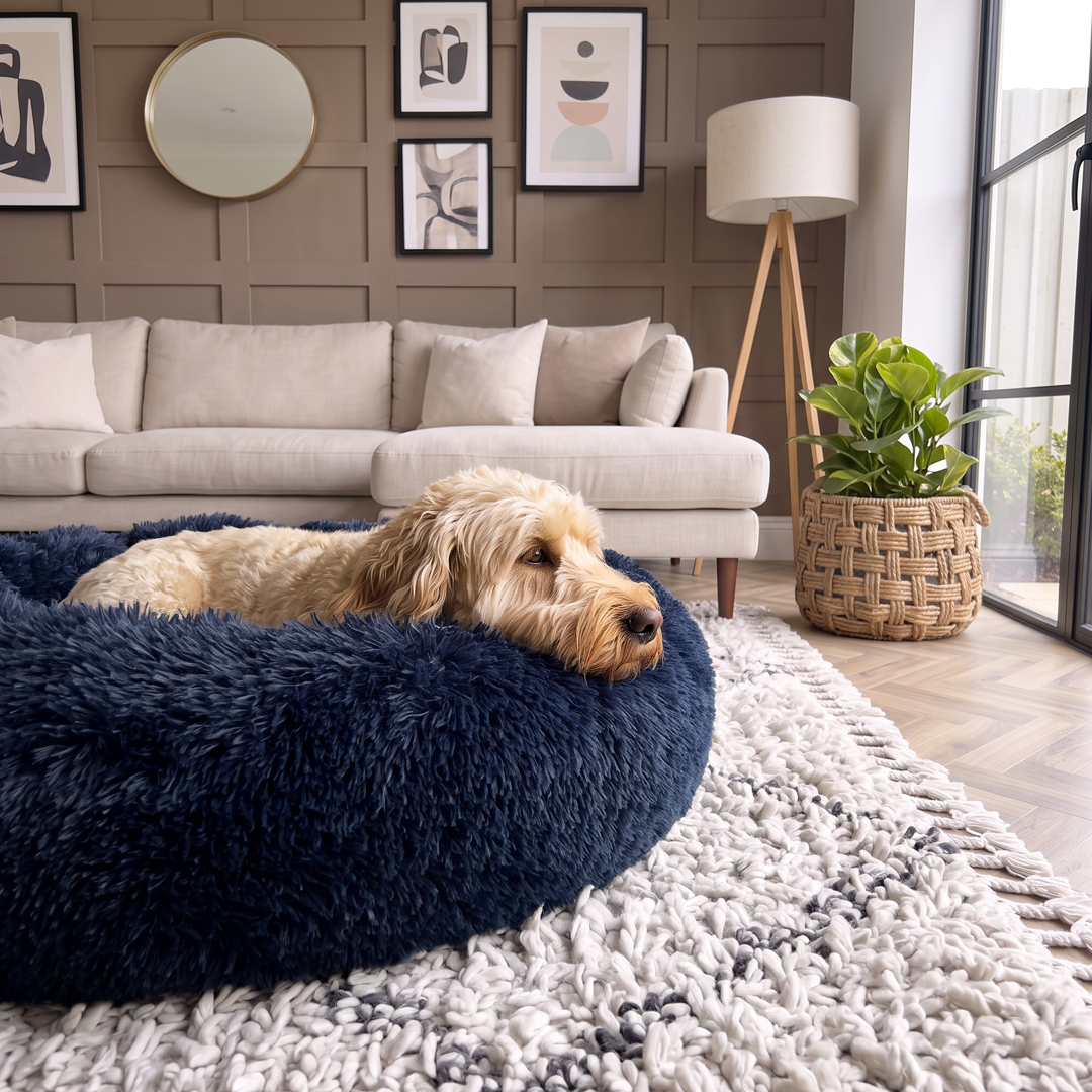 Calming Donut Bed - Frenchie Blue
