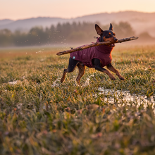 Load image into Gallery viewer, Wet Walkies Raincoat - Maroon Monsoon

