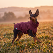 Load image into Gallery viewer, Wet Walkies Raincoat - Maroon Monsoon
