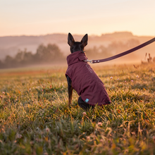 Load image into Gallery viewer, Wet Walkies Raincoat - Maroon Monsoon
