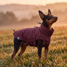 Load image into Gallery viewer, Wet Walkies Raincoat - Maroon Monsoon
