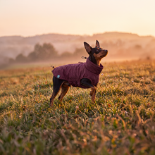 Load image into Gallery viewer, Wet Walkies Raincoat - Maroon Monsoon
