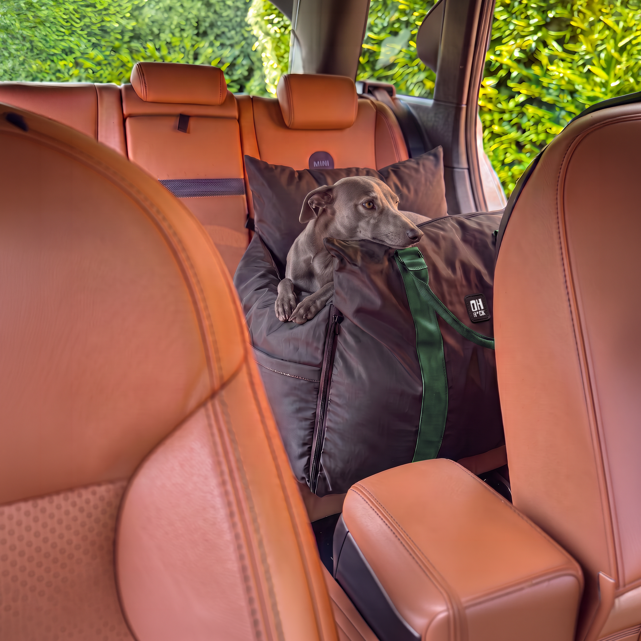 Passenger Princess Pod - Car Seat & Travel bed - Mint Dog Chip