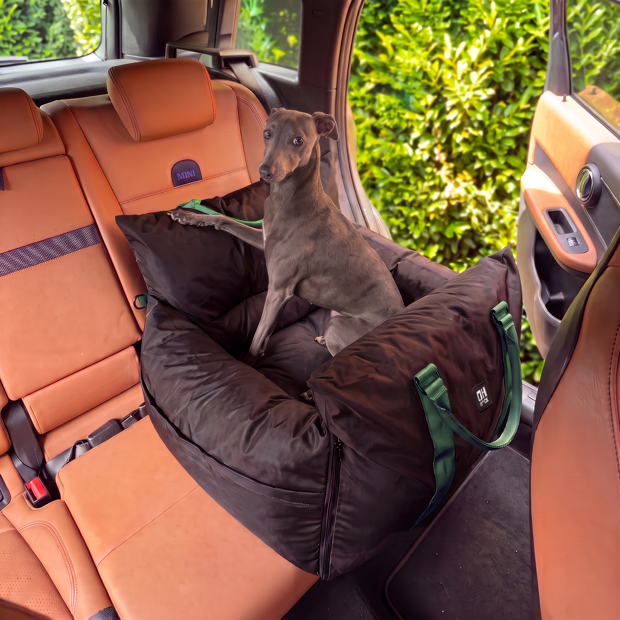 Passenger Princess Pod - Car Seat & Travel bed - Mint Dog Chip