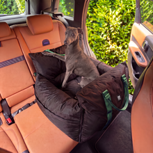 Load image into Gallery viewer, Passenger Princess Pod - Car Seat &amp; Travel bed - Mint Dog Chip
