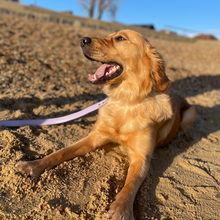 Load image into Gallery viewer, Lilac Vegan Dog Collar
