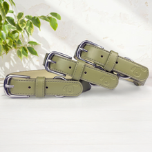 Load image into Gallery viewer, Vegan Leather Dog Collar - Overly Dramatic Olive
