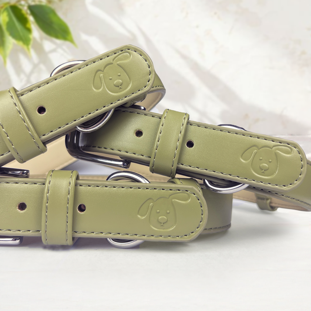 Vegan Leather Collar & Lead Set - Overly Dramatic Olive