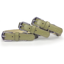 Load image into Gallery viewer, Vegan Leather Dog Collar - Overly Dramatic Olive
