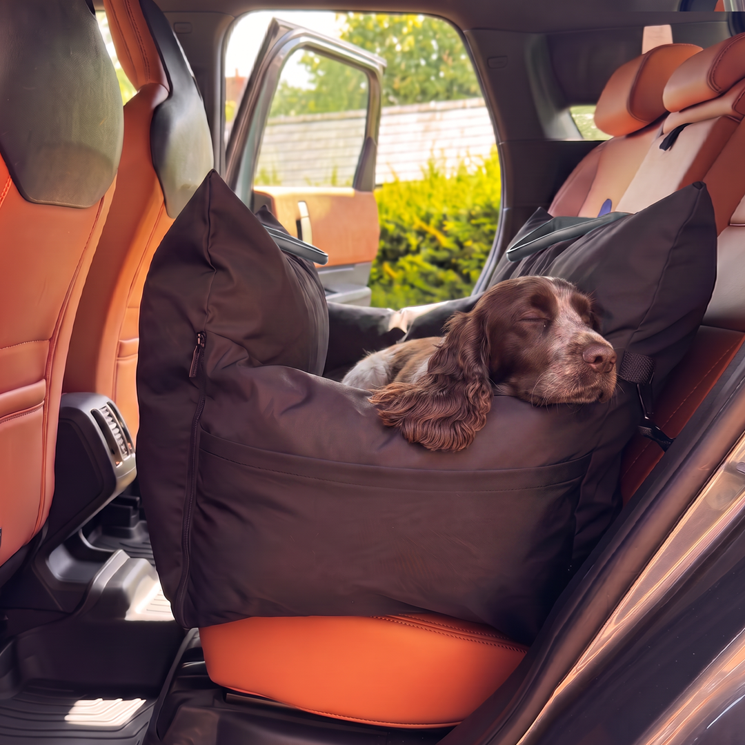 Passenger Princess Pod - Car Seat & Travel bed - Steel Blue