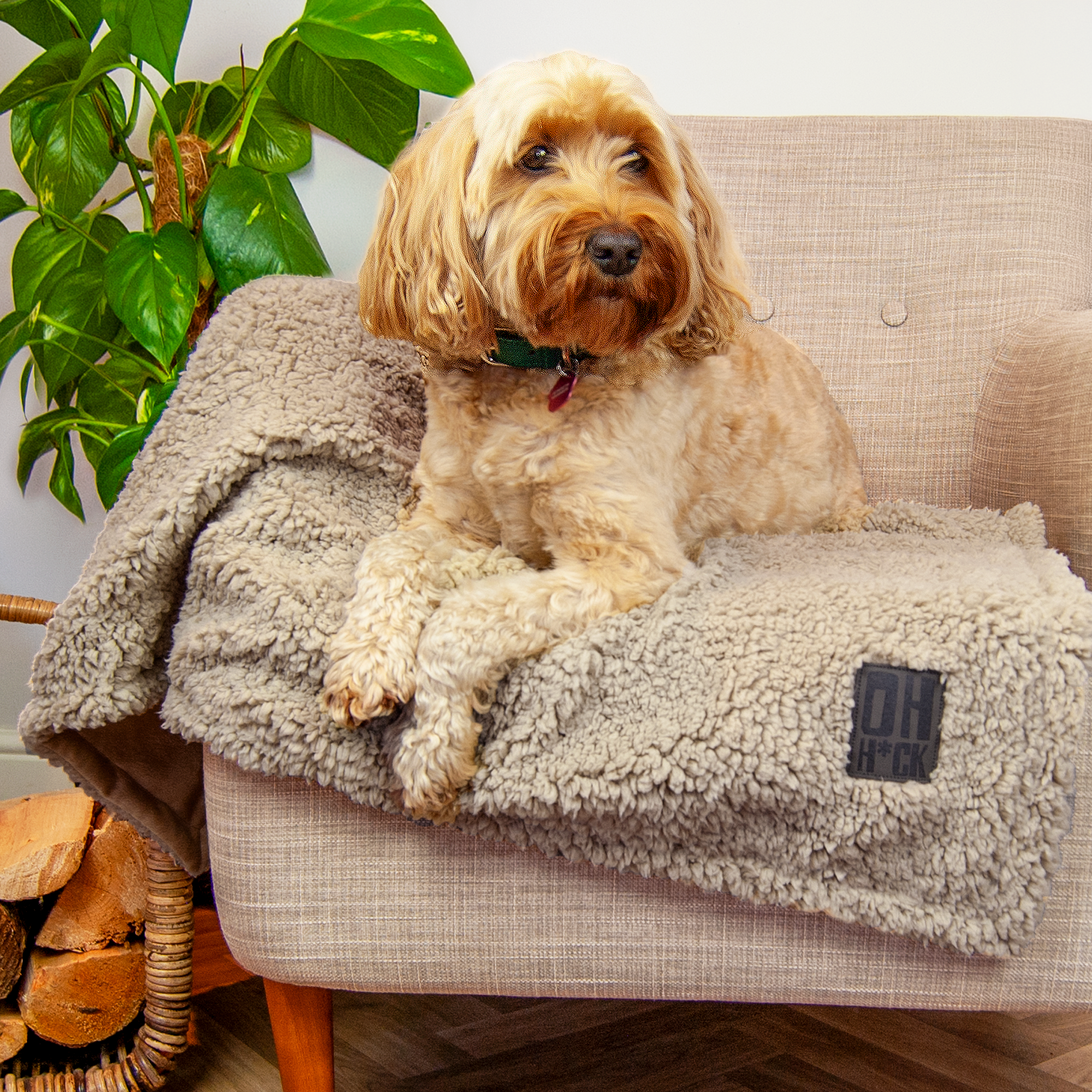 100% Recycled Fluffy Dog Blanket - Stone
