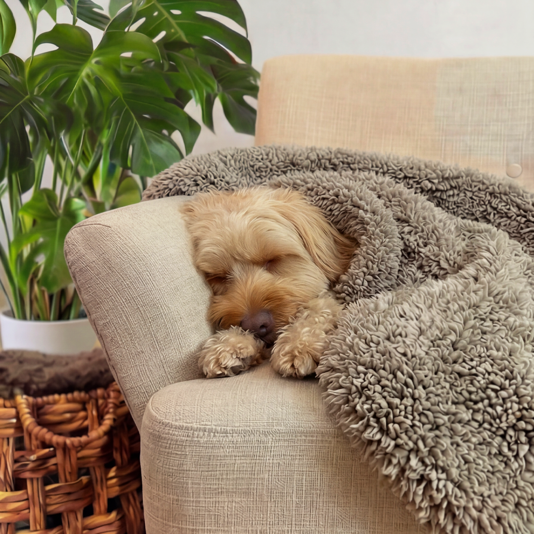 'The Snuggler' Fluffy Dog Blanket - Stone
