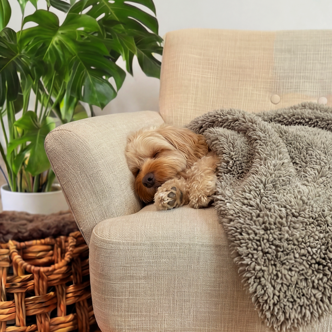 'The Snuggler' Fluffy Dog Blanket - Stone